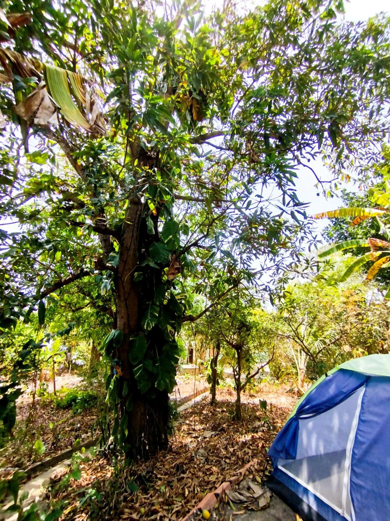 Recanto Do Cajueiro
